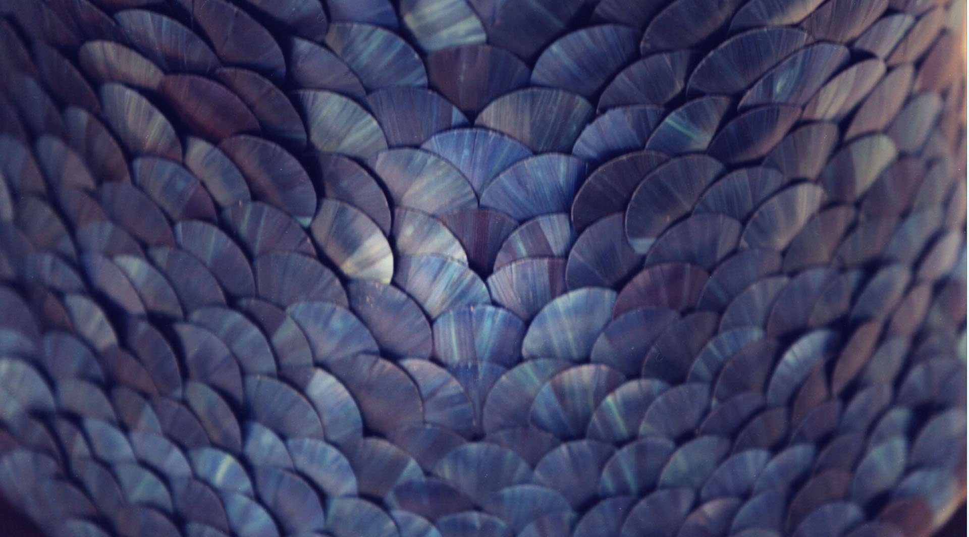 $_content['title']